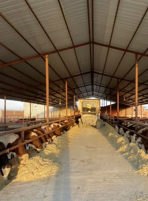 Vand structura metalica din stoc 10x20x4m