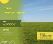Teren Vernesti - Zoresti!