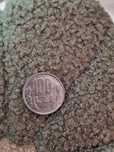 Moneda 100 lei 1992