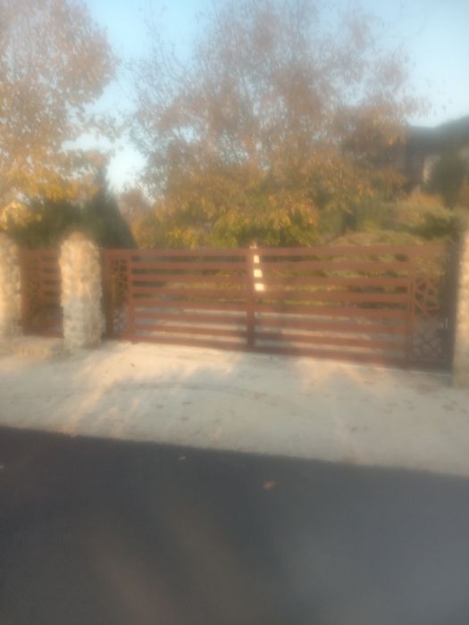 Vând porti + portita