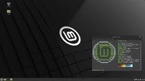 Linux o‘rnatish | Ubuntu, Kali, Arch va hohlagan os | Toshkent