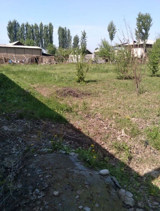 Теплица 8 сотокли, 3та 2.5ли