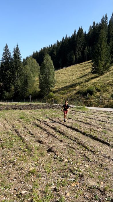 Teren,500mp, Vatra Dornei, langa telescaun, asfalt, zona deosebita