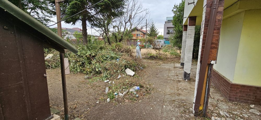 Defrisare mecanizata -curatare terenuri transport resturi vegetale