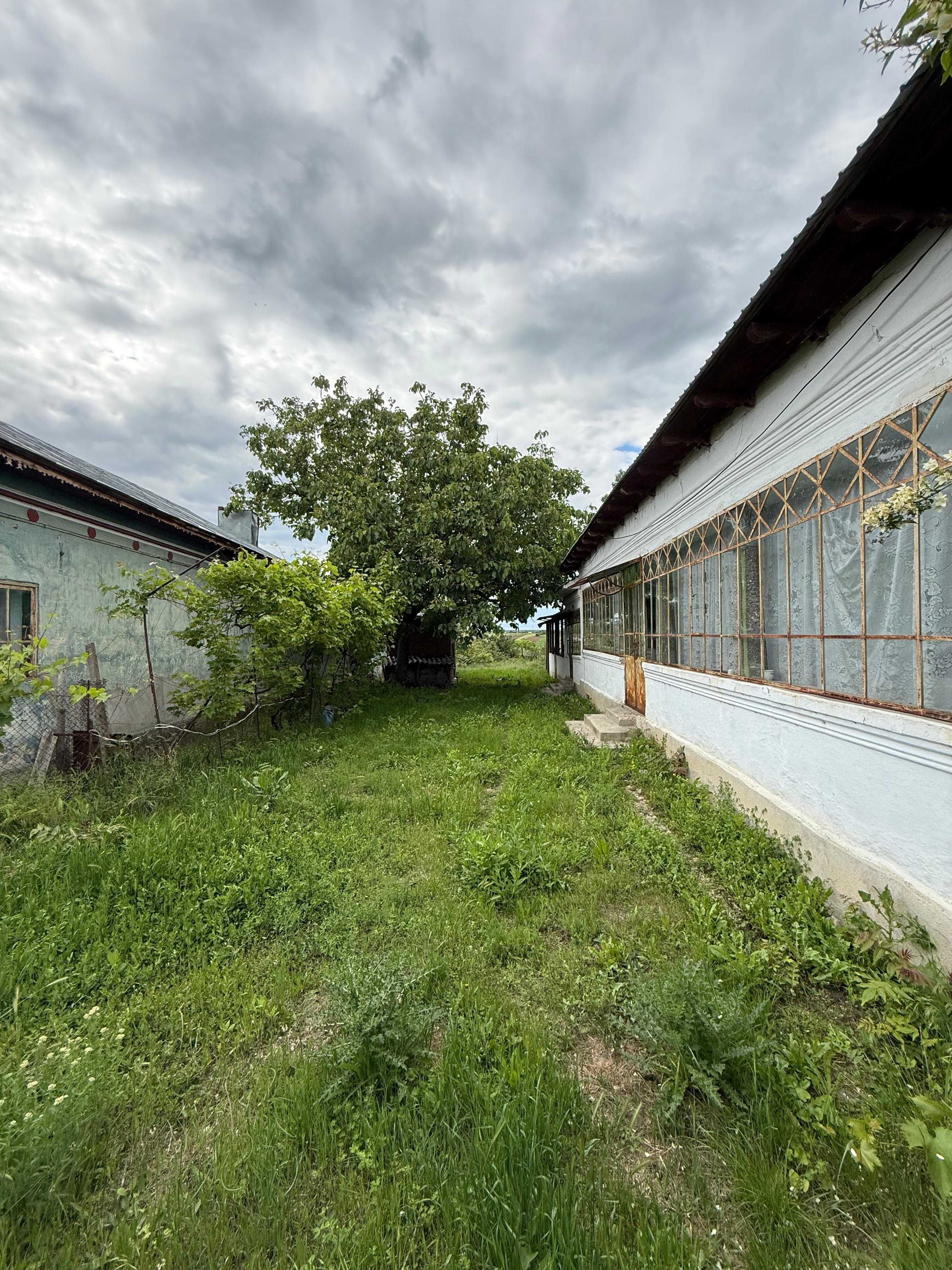 Casa de vanzare + teren 1816 mp in Coteana, Olt, central