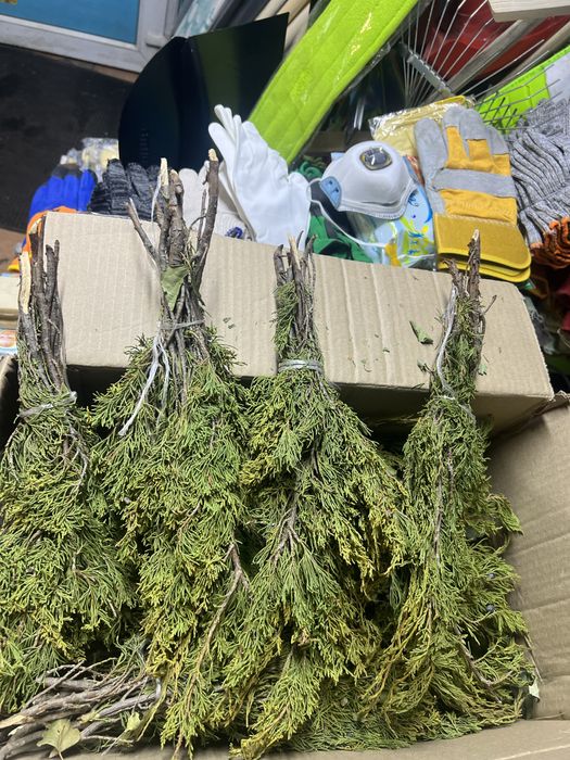 Арша .Благовония .Верест.