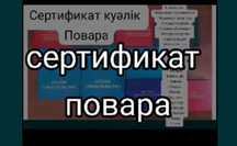 Свидетельство/корочка/сертификат