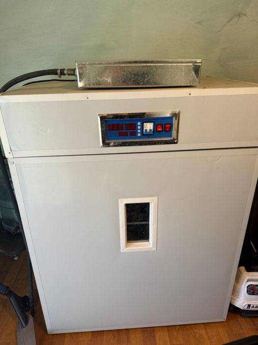 Инкубатор для яиц