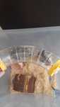Donez hamsteri  domestici