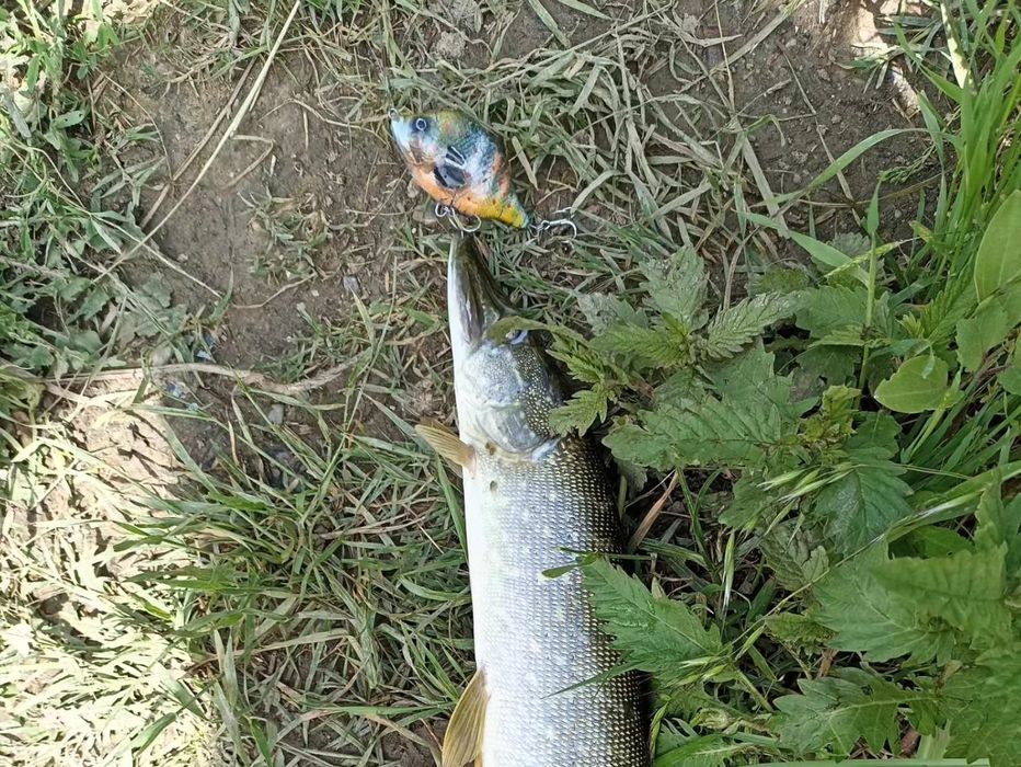 Ръчно изработен джърк модел Bilbo ,цвят /слънчевка/за риболов на щуки