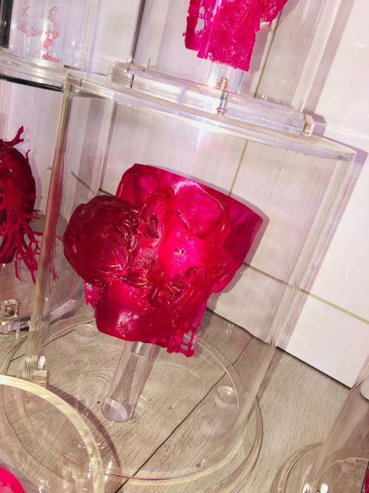 Super aet medical 3D organe craniu in cutii acryl plexiglasss