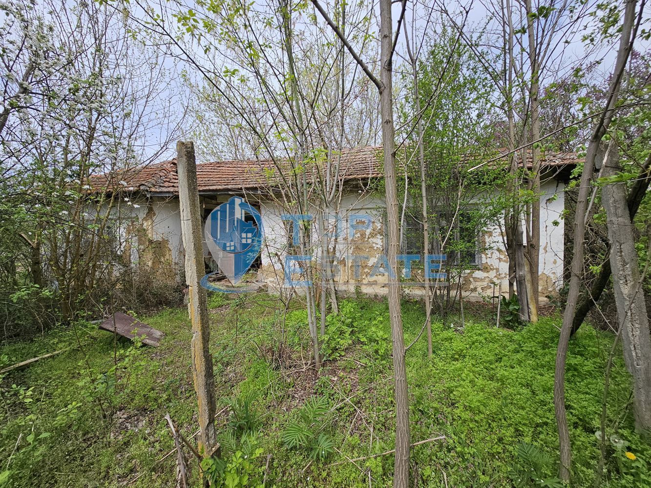 Голям парцел със стара къща в с. Драгомирово