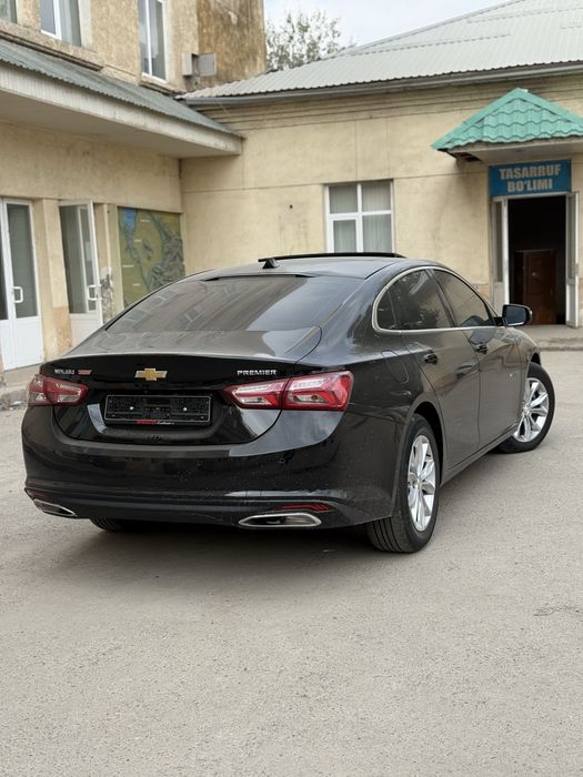 2022 premier malibu ideal