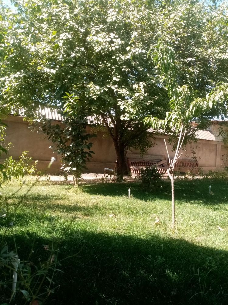 СРОЧНО Продает.своя дача, 5-6км от парка ЯНГИ УЗБЕКТСТАН (КОРОБКА)
