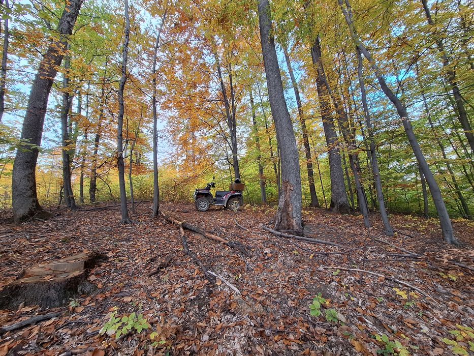 Bombardier Traxter/ John Deere buck