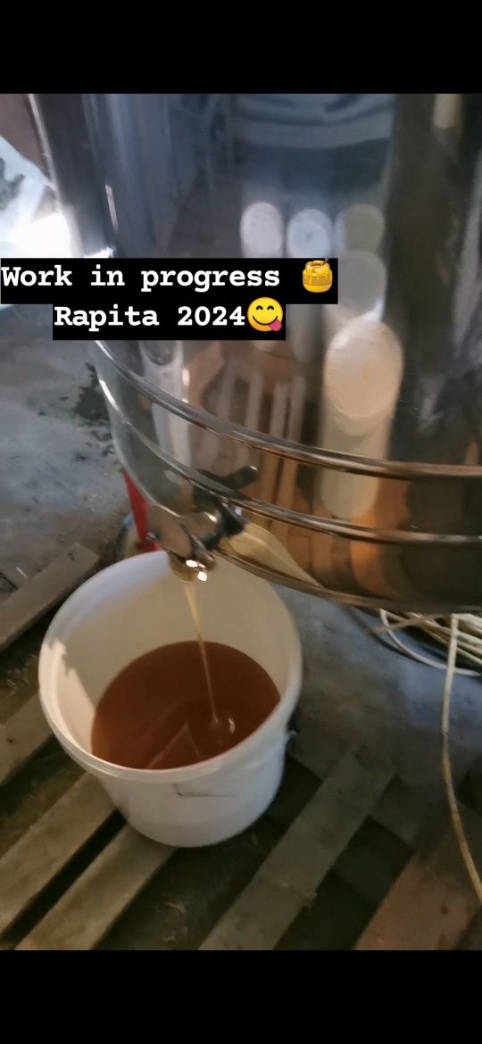 Miere rapita 2024