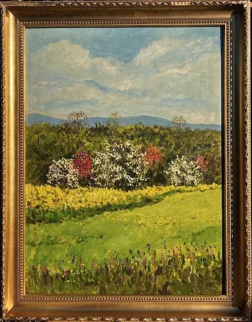 SUPERB! ”CRÂNG ÎNFLORIT” Tablou ulei/car 80x60cm+R, Sem A Rafael-COTAT