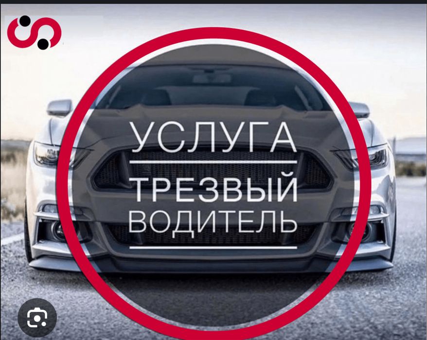 трезвый водитель