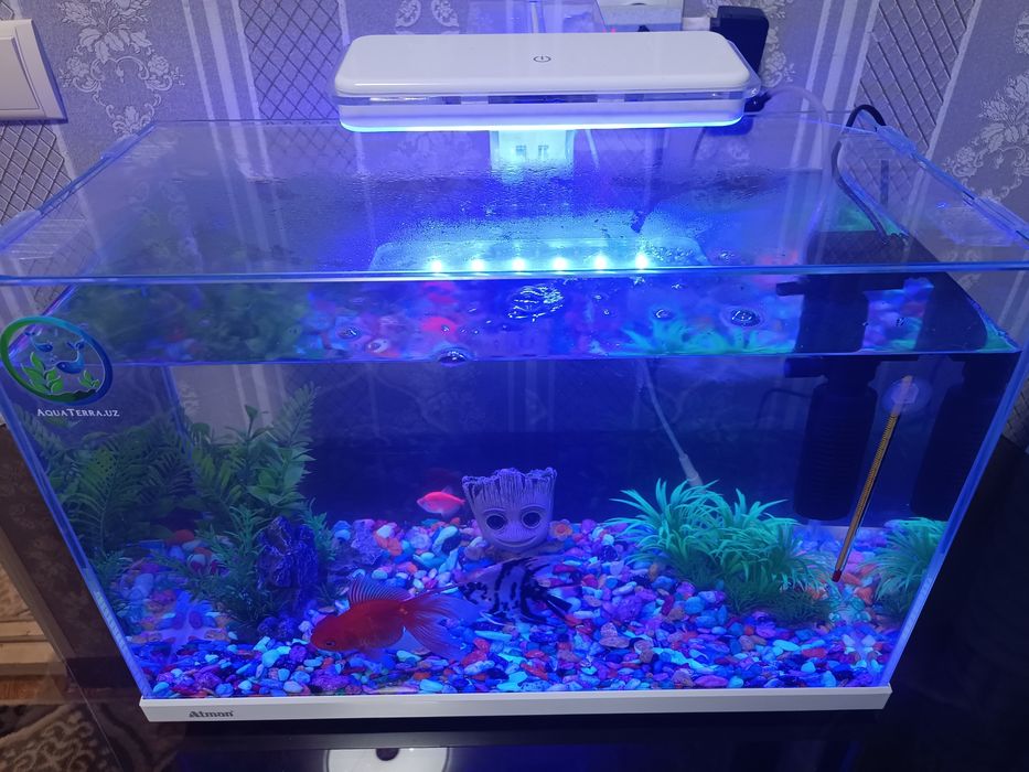 Аквариум сотилади