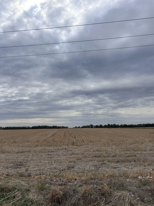 Teren intravilan de vanzare - Carligei Bucovat
