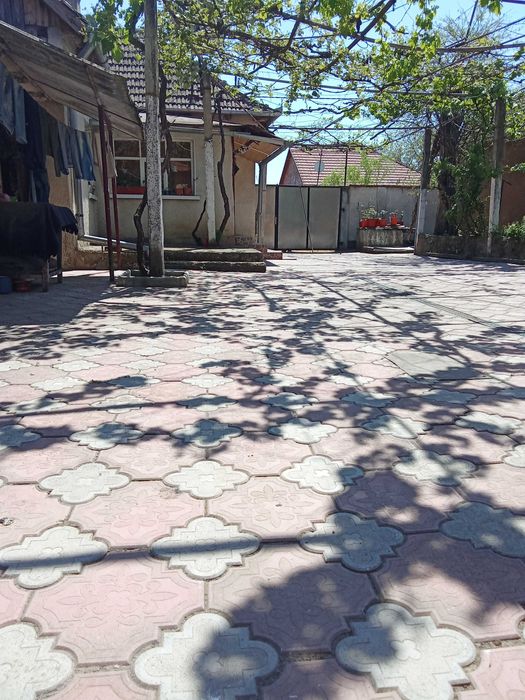 Urgent vindem casa de vacanta la 36 km de Oradea