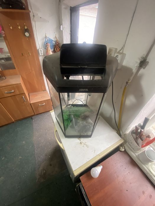 аквариум 50 литров