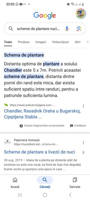 Nuci Chandler Ciresi/Gisella Aluni soi.Cais.Piersic.Nectarin.Kaki.Afin