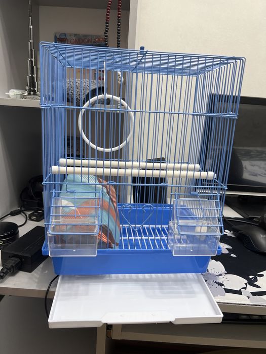 Клетка для попугая.