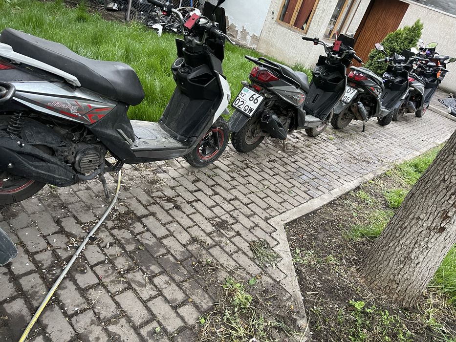 Аренда мопедов. И скутеров