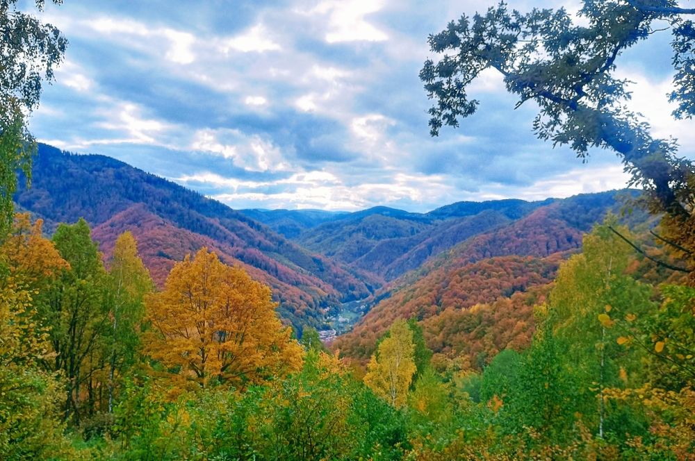 Teren intravilan 1500 mp Valea Ierii Plopi