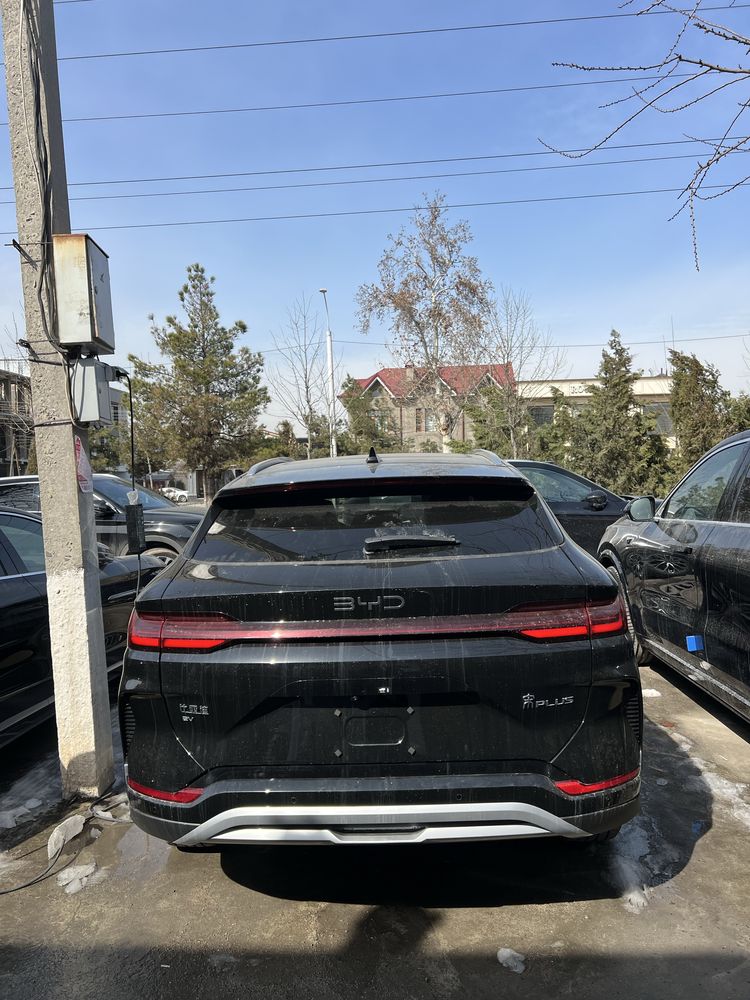 BYD Champion Smart Drive 2026