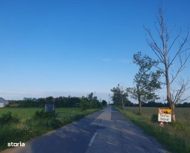 Cota de 1/2  teren intravilan, localitatea Tormac, jud. Timis,