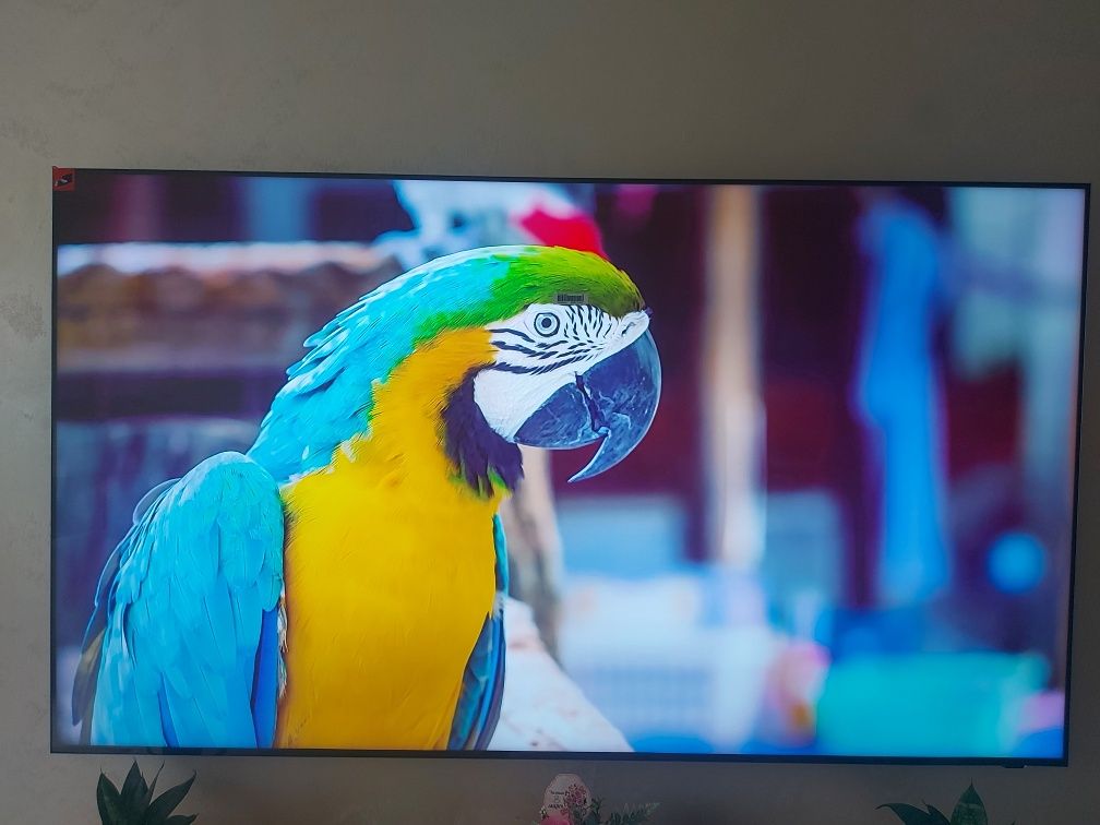 SAMSUNG QE-65QN800D 8K Qled smart tv