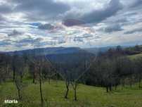 Teren intravilan/extravilan Preluca Veche!