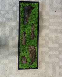 Tablou din licheni 100x30 (reducere)