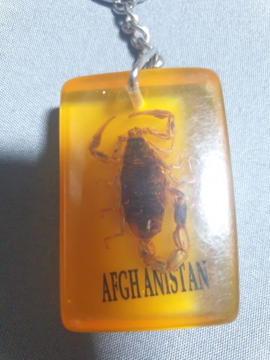 Vînd breloc scorpion natural