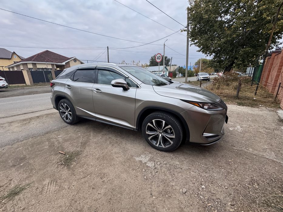 Обмен на скот…….