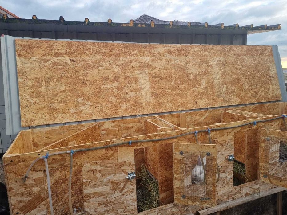 Cusca de iepuri cu iepuri totul automat