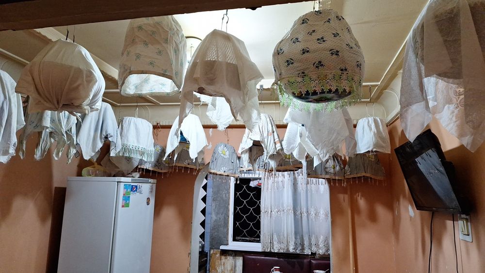 Сайроки беданалар сотилади