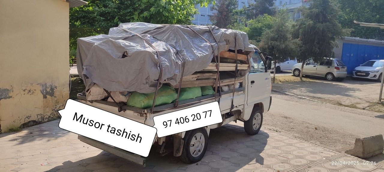 Musir tashish xizmati xoxlagan turdagi sitroy musir