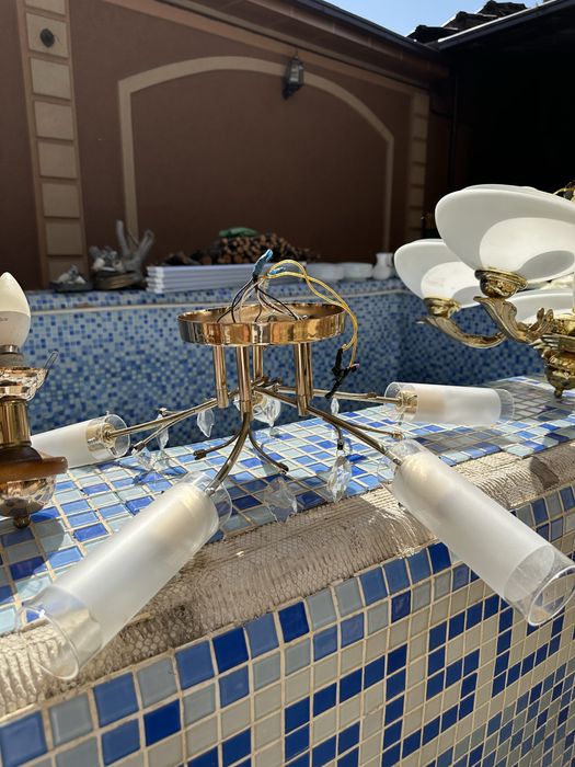 Lyustralar har xil turdagi