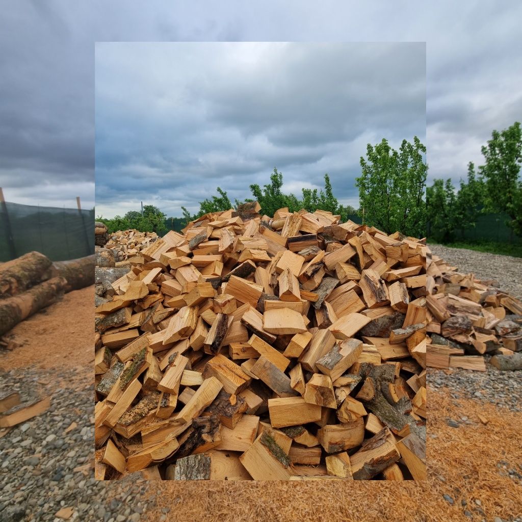 Vindem lemn de foc fag esenta tare