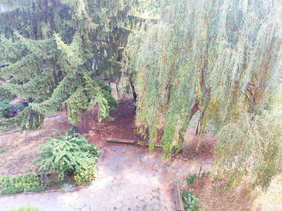 Продава се Тристаен апартамент в София, Лозенец - 100 кв.м за 5200 €/кв.м - Снимка #3