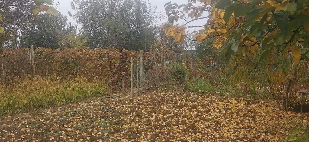 Продава се Къща в Видин, Нов път - 200 кв.м за 90 €/кв.м - Снимка #5