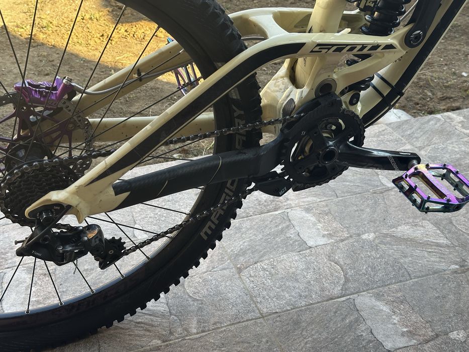 Scott Gambler 2019!!!