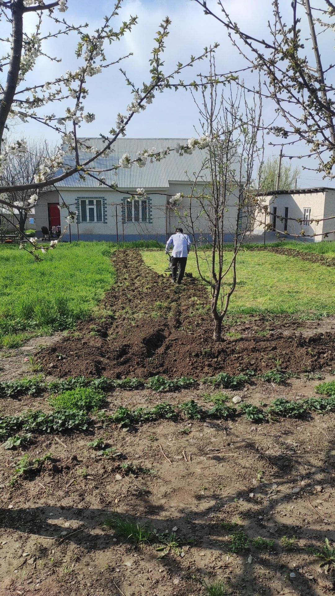 Жер аудару сапалы турде