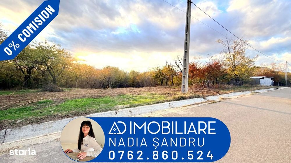 Teren de vânzare în Horezu  Com. Turcinești, Gorj