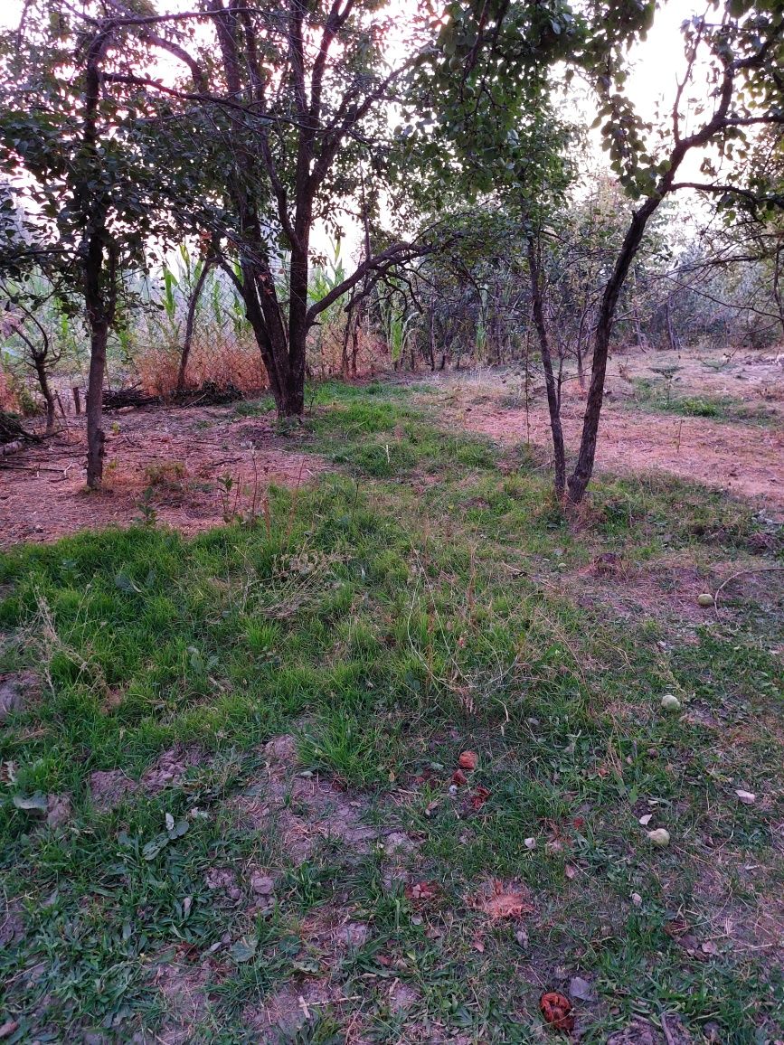Yer sotiladi Toshkent viloyati Parkent tumani Zarkent qishloĝi