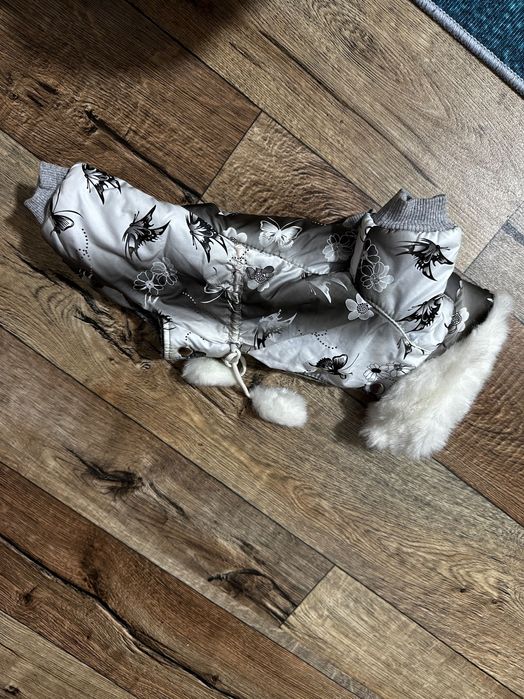 Лдежда для собак