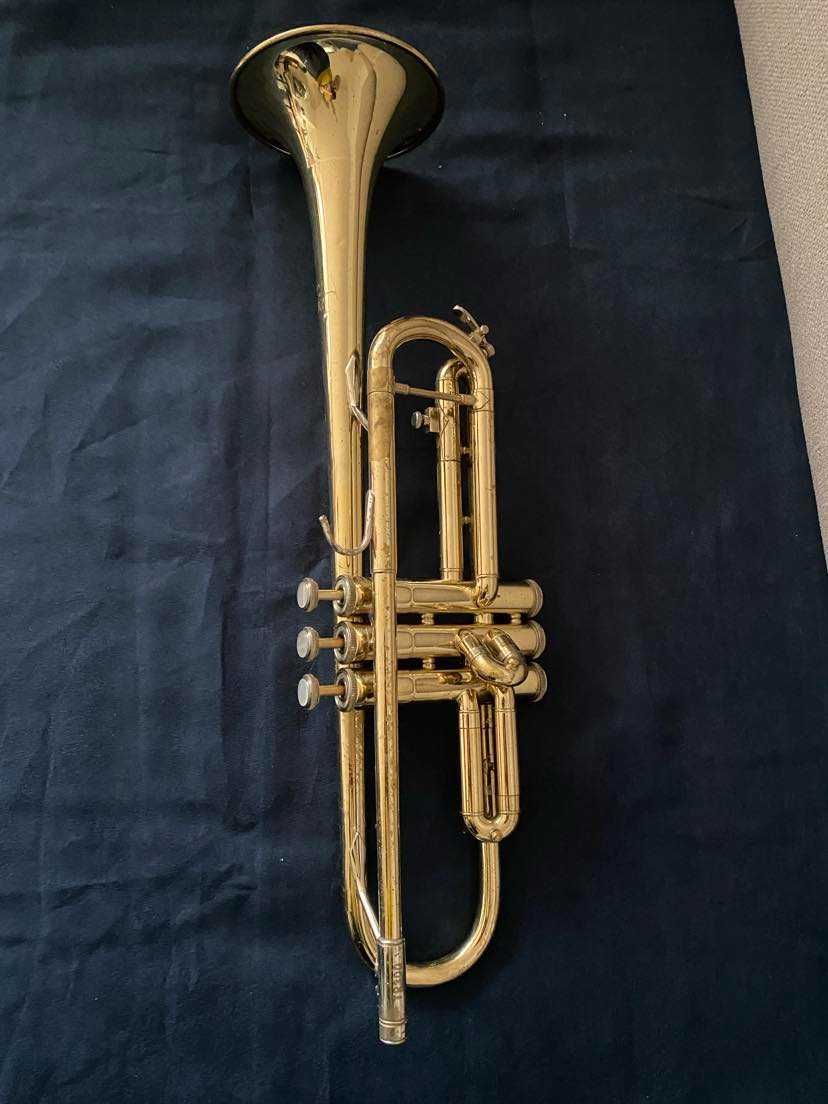 Trompeta Bach TR 300